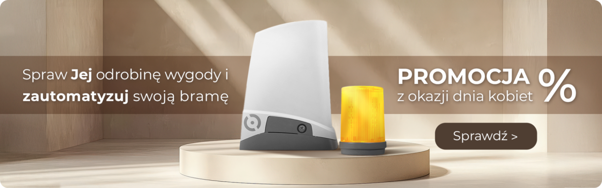 BANER-PROMOCJA-DZIEŃ-KOBIET